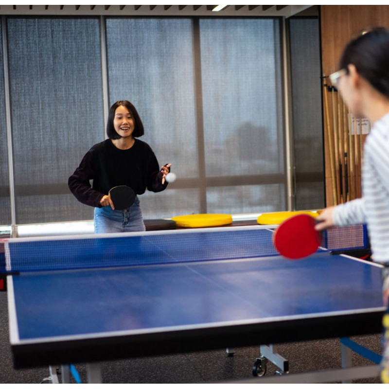 Housse de protection extérieure sur mesure Table de Ping Pong