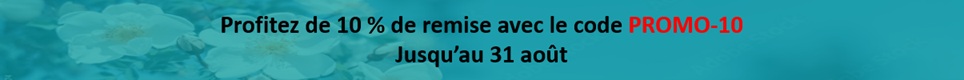 PROMO aout 2026